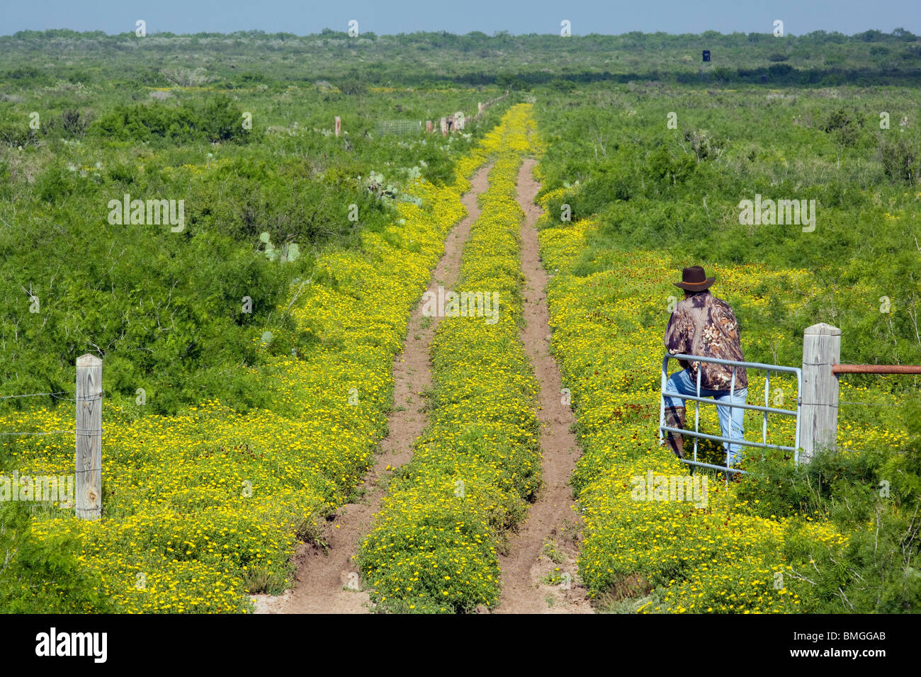 Ranch Straße Landschaft - Los Novios Ranch - in der Nähe von Cotulla, Texas USA Stockfoto