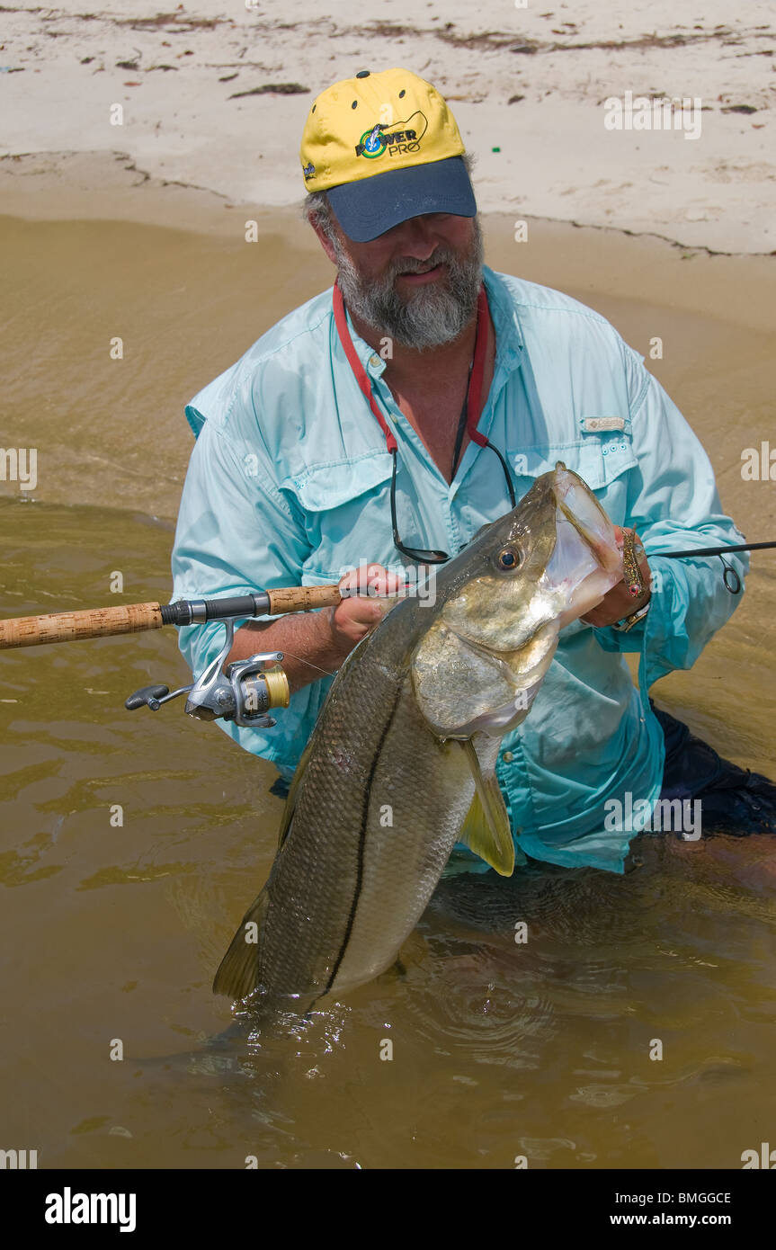 Inshore Angler hefts ein Riesen Snook gefangen in Florida Atlantic Intracoastal Waterway. Die Fische sind reichlich in der Indian River. Stockfoto