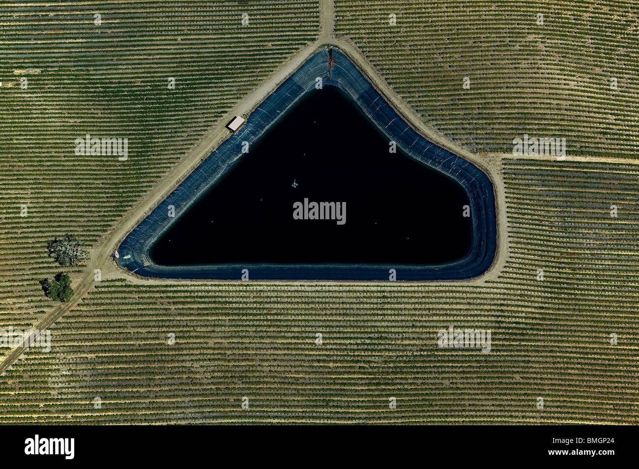Luftaufnahme über Bewässerung Teich Vineyard Napa Valley Stockfoto