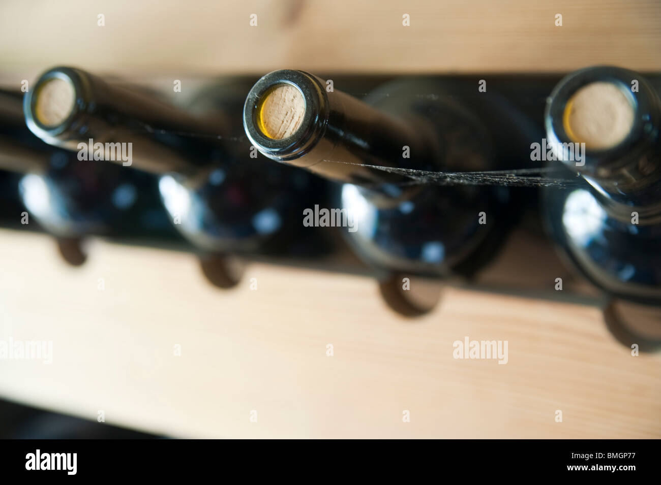 Stapel von Weinflaschen in einem Weingut Lagerraum Stockfoto