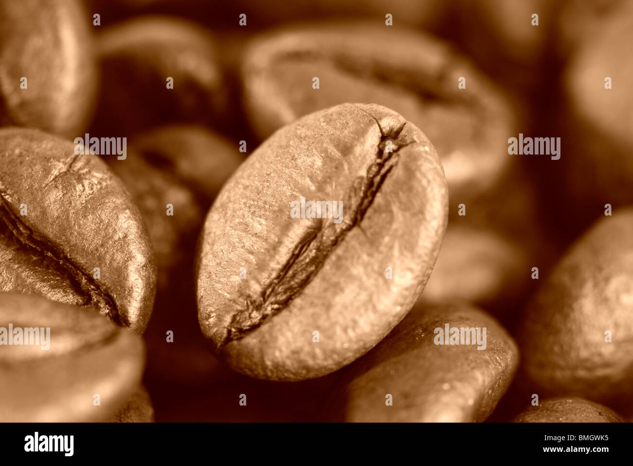 Makro-Bild von Kaffeebohnen. Stockfoto
