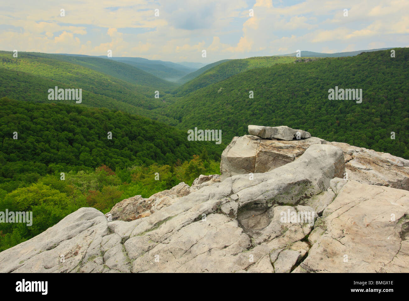 Blick auf Red Creek Canyon aus Rohrbaugh Trail, Dolly Grassoden Wildnis, Hopeville, West Virginia Stockfoto