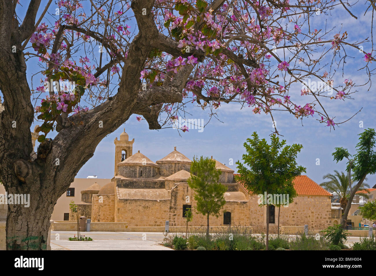 Agia Paraskevi Kirche in der Nähe von Pafos, Anarita, Zypern. Frühling, Mai. Stockfoto
