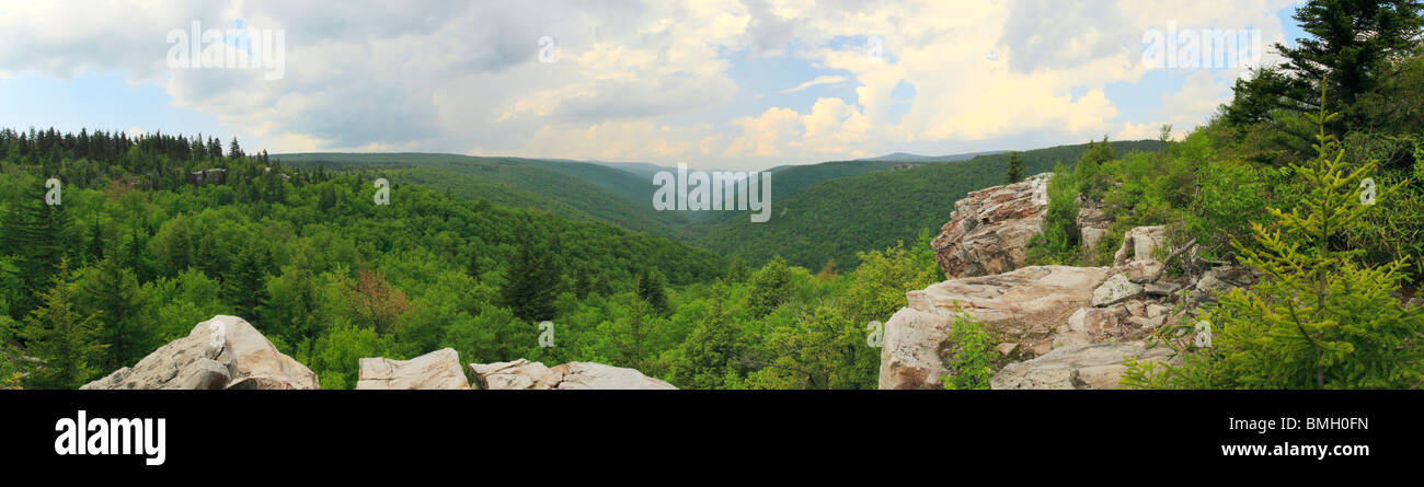 Blick auf Red Creek Canyon aus Rohrbaugh Trail, Dolly Grassoden Wildnis, Hopeville, West Virginia Stockfoto