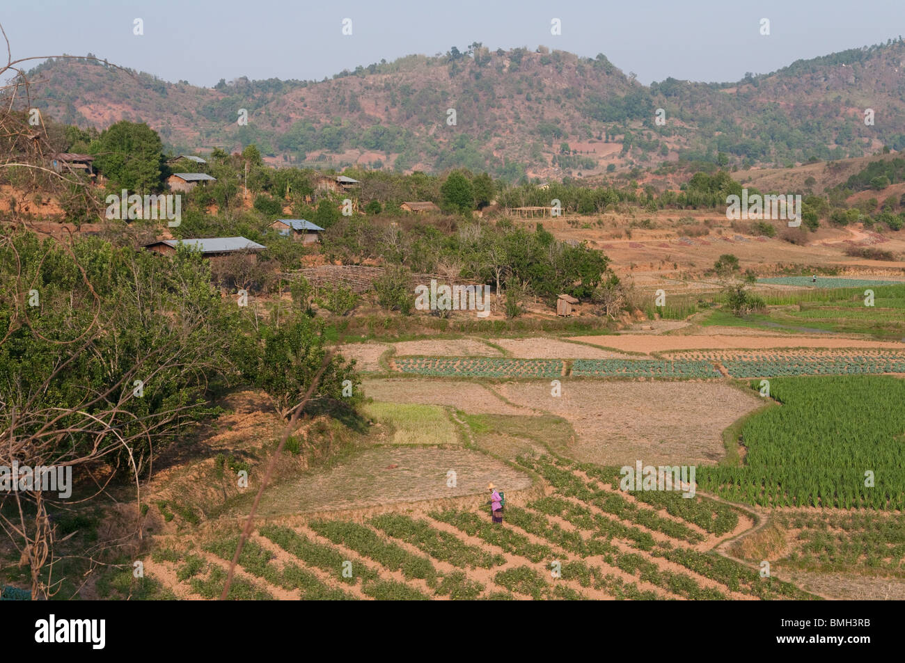 Mynamar. Burma. Shan-Staat. Kalaw township Stockfoto