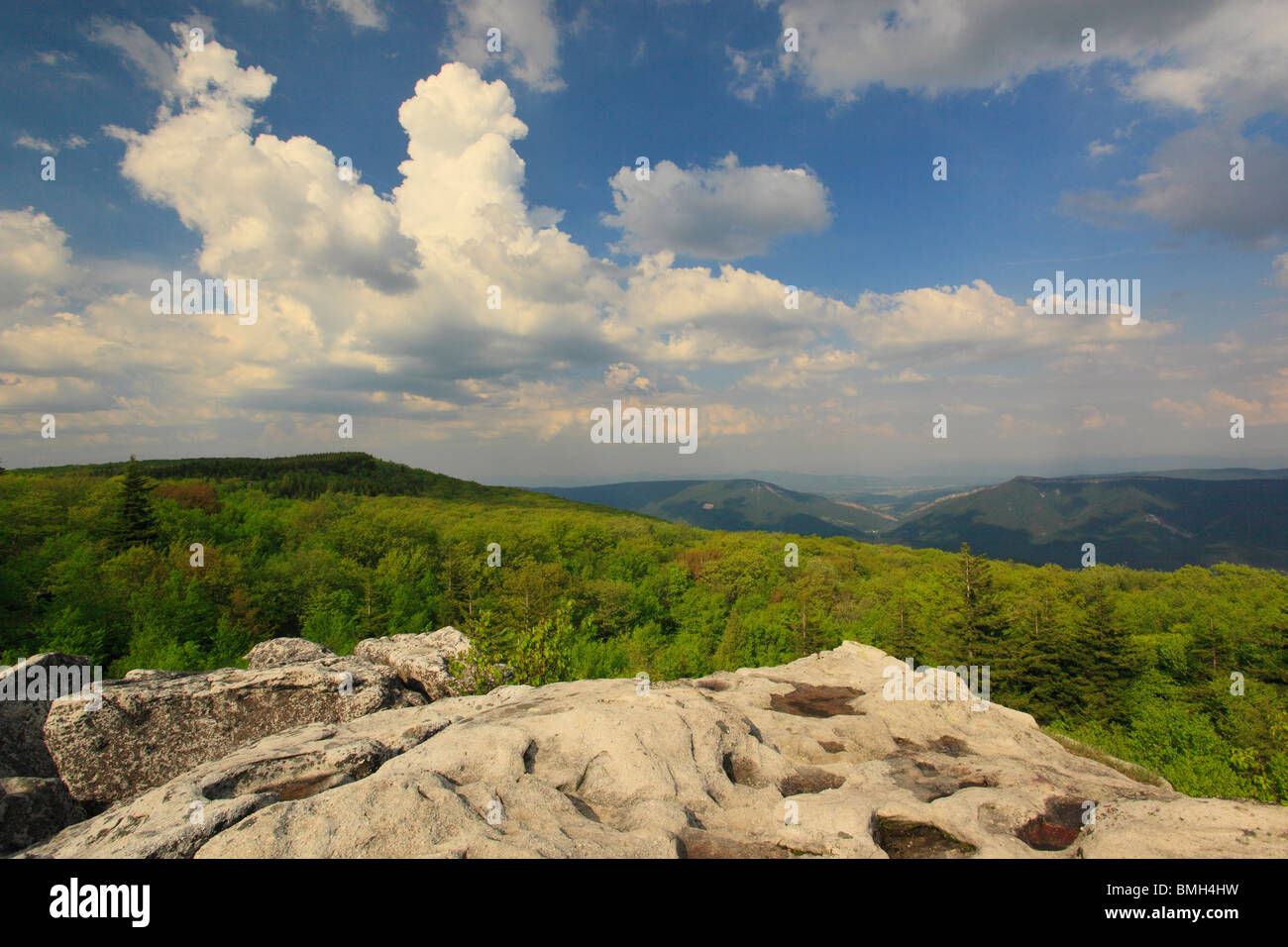 Dolly Grassoden Wildnis landschaftlich reizvollen Gegend, Hopeville, West Virginia Stockfoto