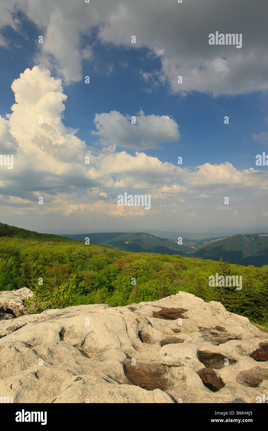Dolly Grassoden Wildnis landschaftlich reizvollen Gegend, Hopeville, West Virginia Stockfoto