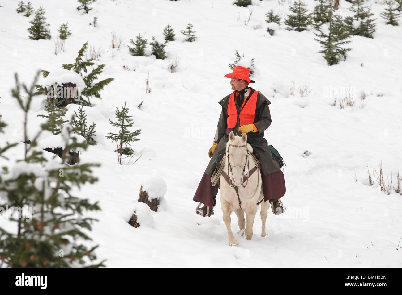 Cowboy Jäger weiß Reitpferd im Schnee jagen Stockfoto
