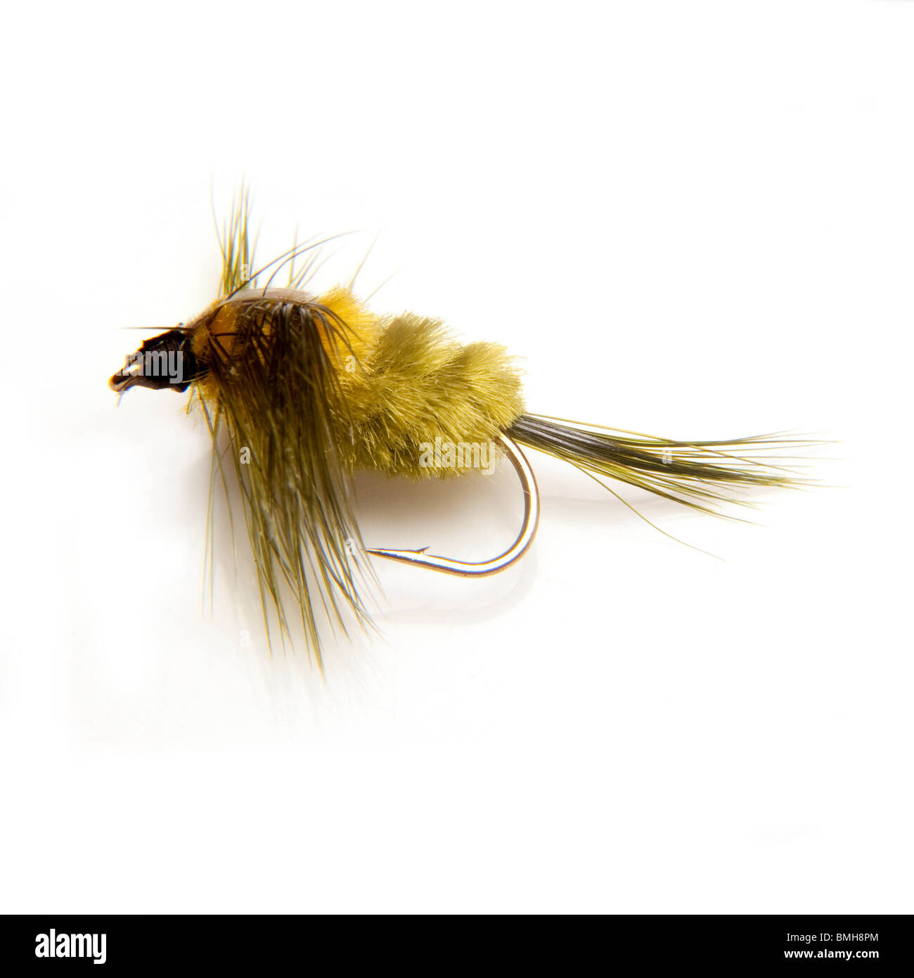 Montana Forellen angeln Fly isoliert auf einem weißen Studio-Hintergrund. Stockfoto