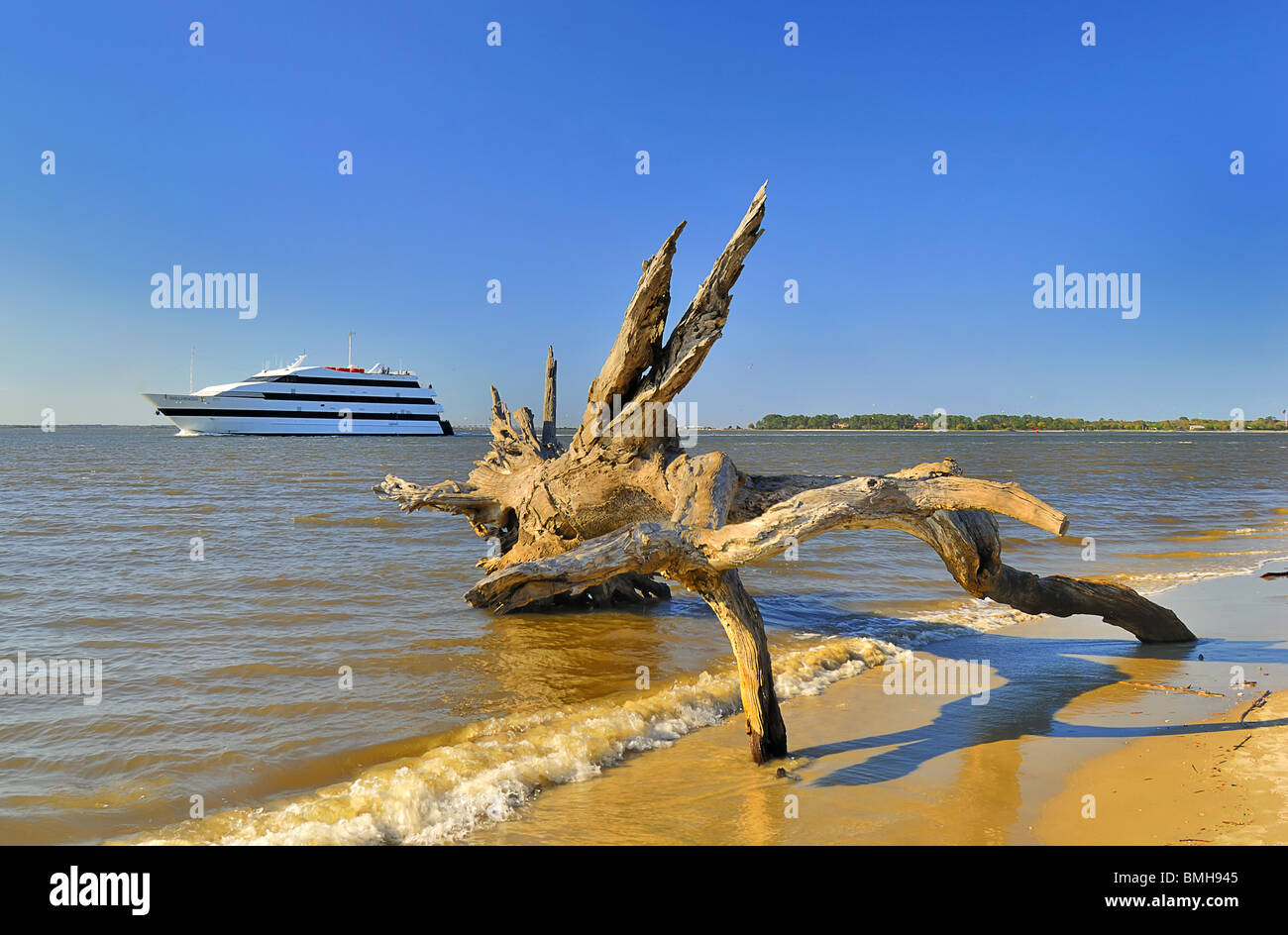 Jekyll Island ist vor der Küste des US-Bundesstaates Georgia. Ein Baumstamm und einem vorbeifahrenden Schiff vervollständigt das Bild. Stockfoto