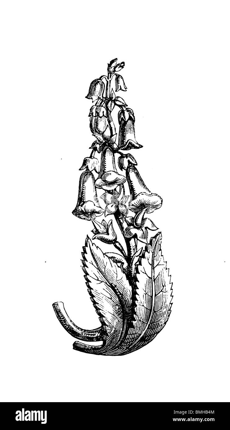 Schwarz / weiß-Gravur schneiden Sie isoliert auf weiss. Abbildung eines Kunst-Elements auf der großen Londoner Ausstellung 1851 ausgestellt. Stockfoto