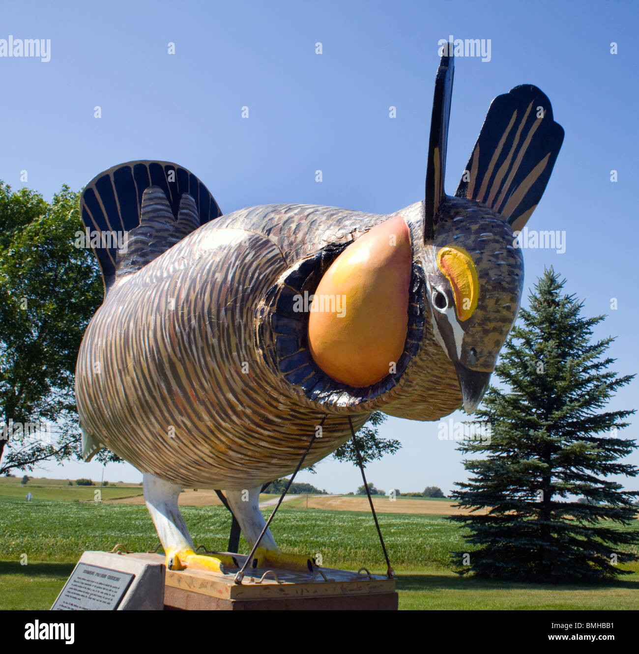 Weltweit größte blühende Prairie Chicken Riese in Rothsay Minnesota Stockfoto
