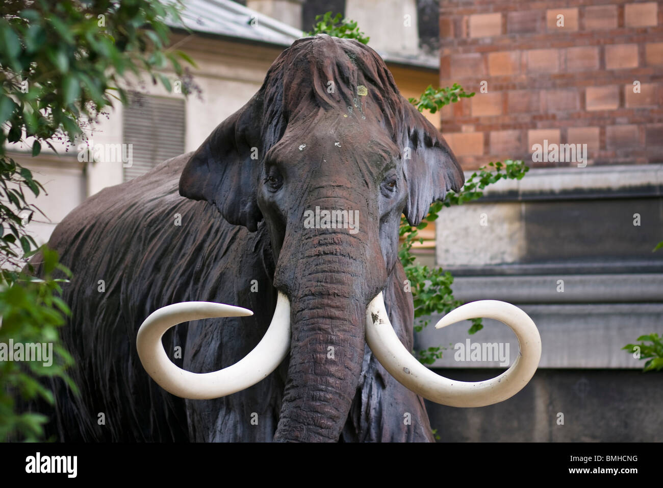 Mammuth Skulptur im Jardin des Plantes, Paris, Frankreich Stockfoto