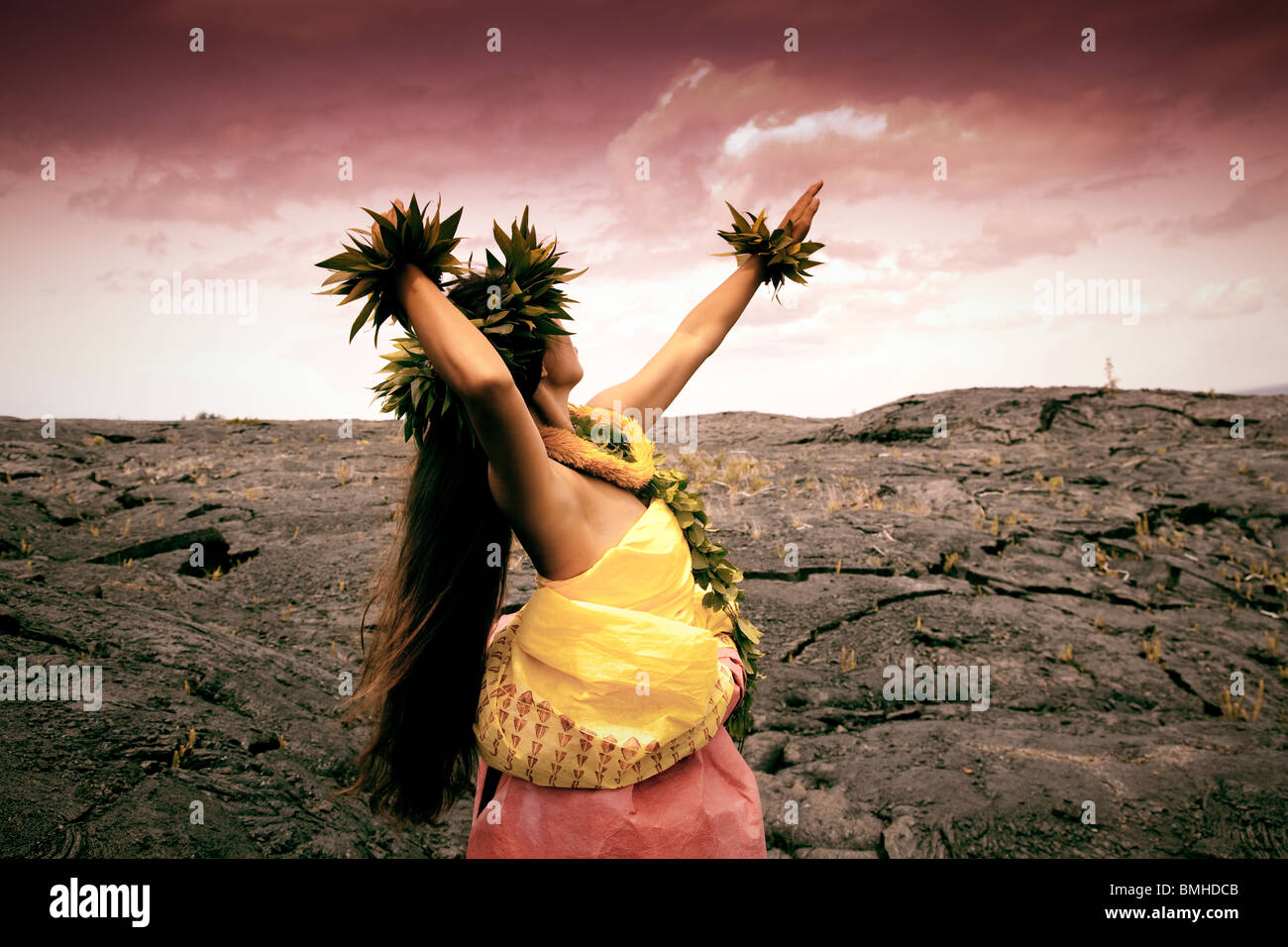 Hawaiian Hula-Tänzerin Stockfoto