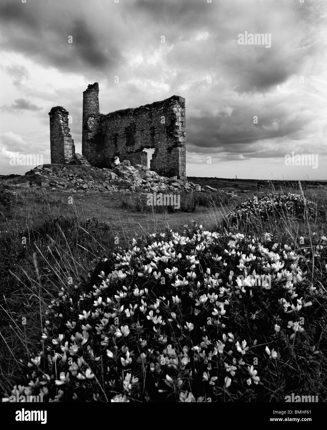 Die Ruine der Neuen Phoenix Mine Motor Haus auf Bodmin Moor an Schergen, Cornwall, England. Stockfoto
