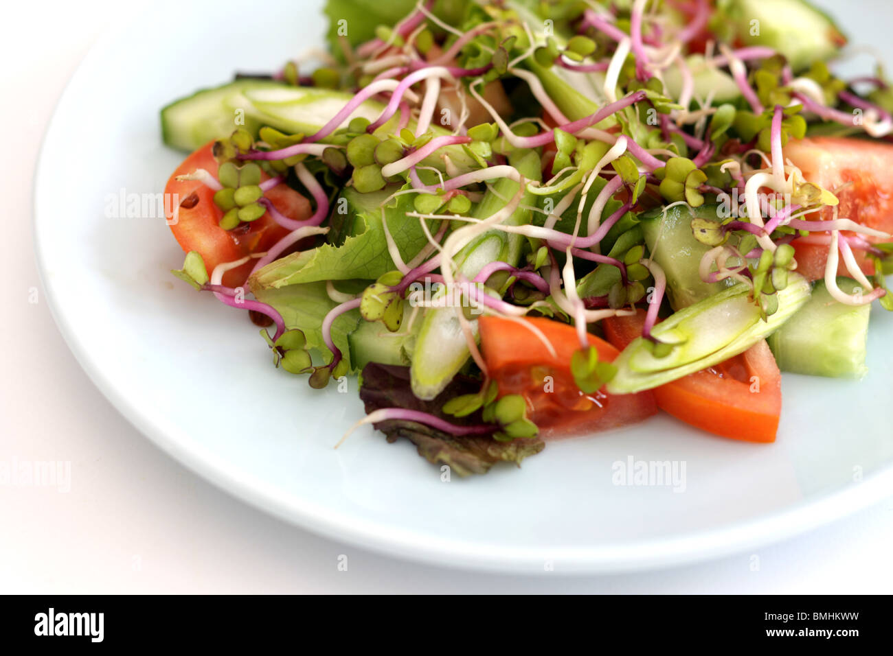 Frische Bunte vegetarisch oder vegan Gesund kein Fleisch Radieschen Sprossen Salat mit Keine Personen Stockfoto