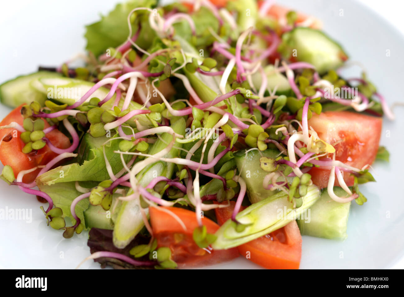 Frische Bunte vegetarisch oder vegan Gesund kein Fleisch Radieschen Sprossen Salat mit Keine Personen Stockfoto