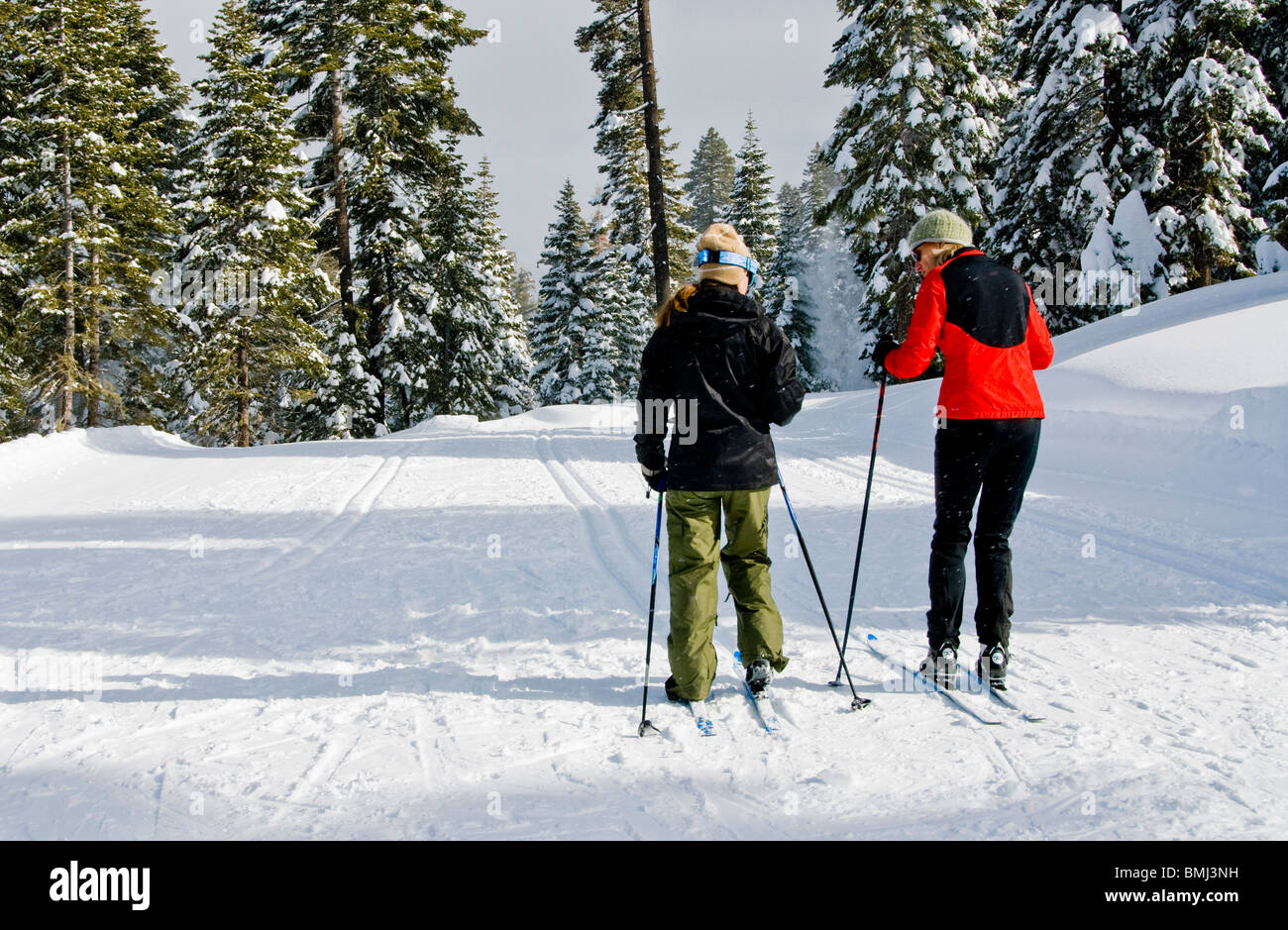 Crosscountry Skifahren, Sport, Ski, Winter-Szene, North Lake Tahoe, Kalifornien, USA Stockfoto