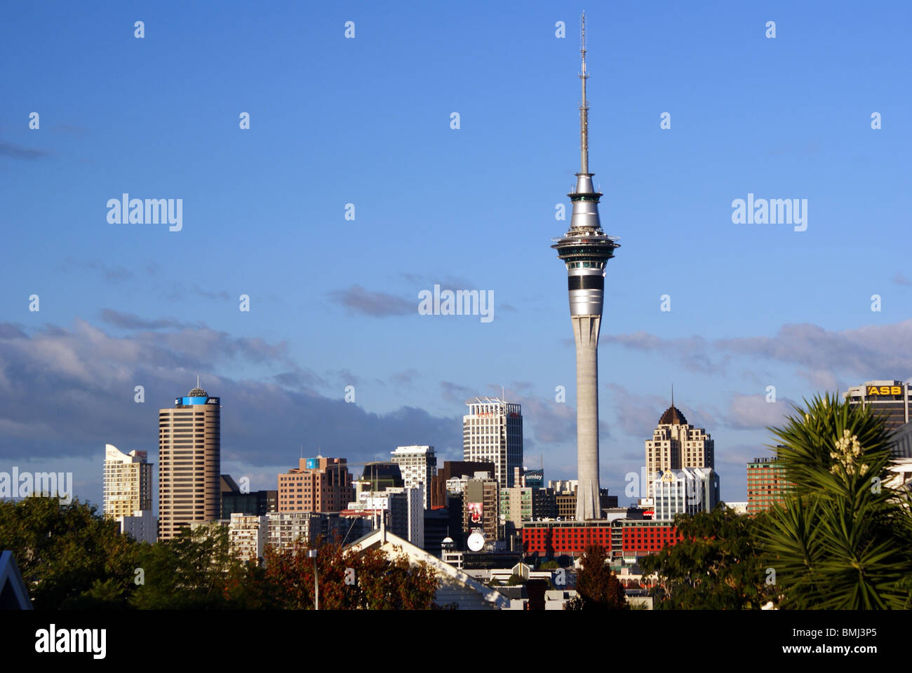 Sky Tower und Auckland Skyline der Stadt. Stockfoto