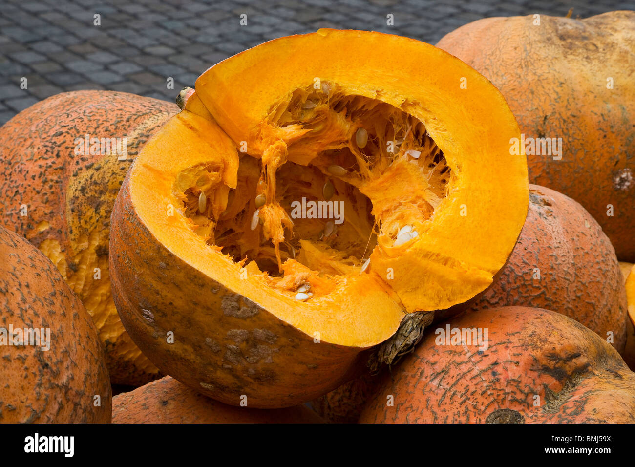 Kürbis ist die Frucht der Gattung Cucurbita Pepo oder Cucurbita Mixta. Es steht für eine bestimmte Sorte Art Cucurbi Stockfoto