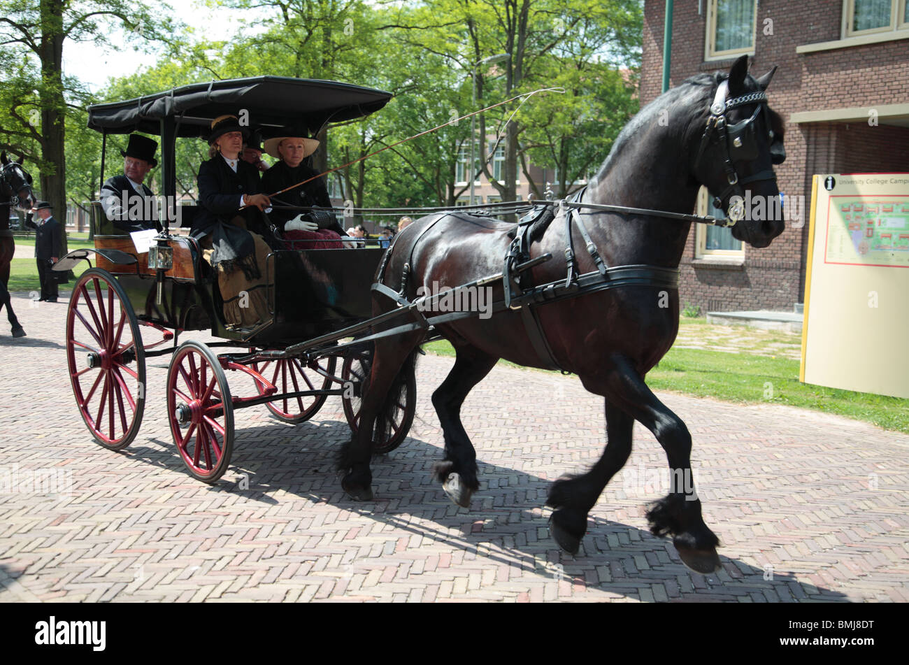 Pferdekutsche Stockfoto