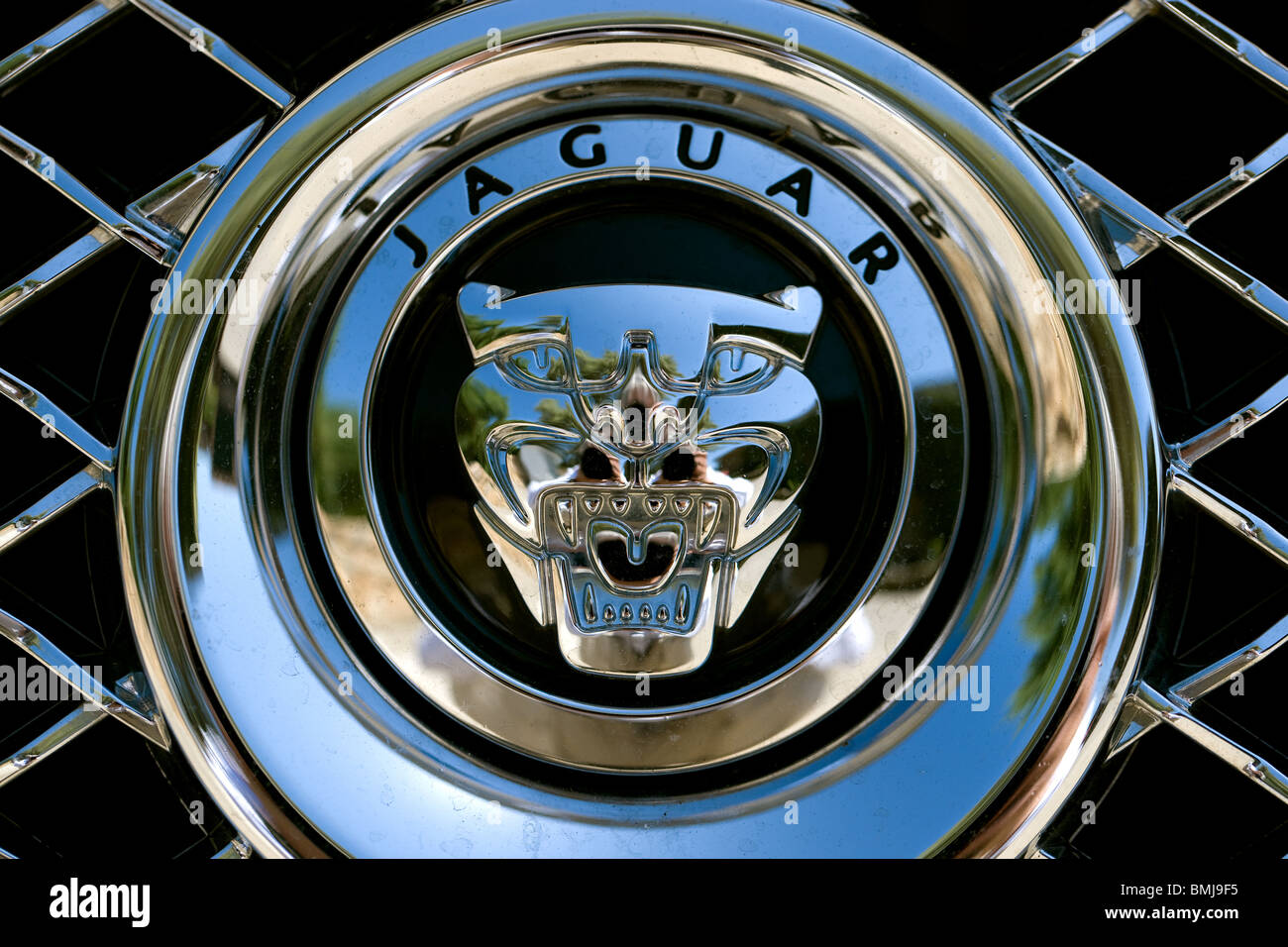 Jaguar emblem Fotos und Bildmaterial in hoher Auflösung Alamy