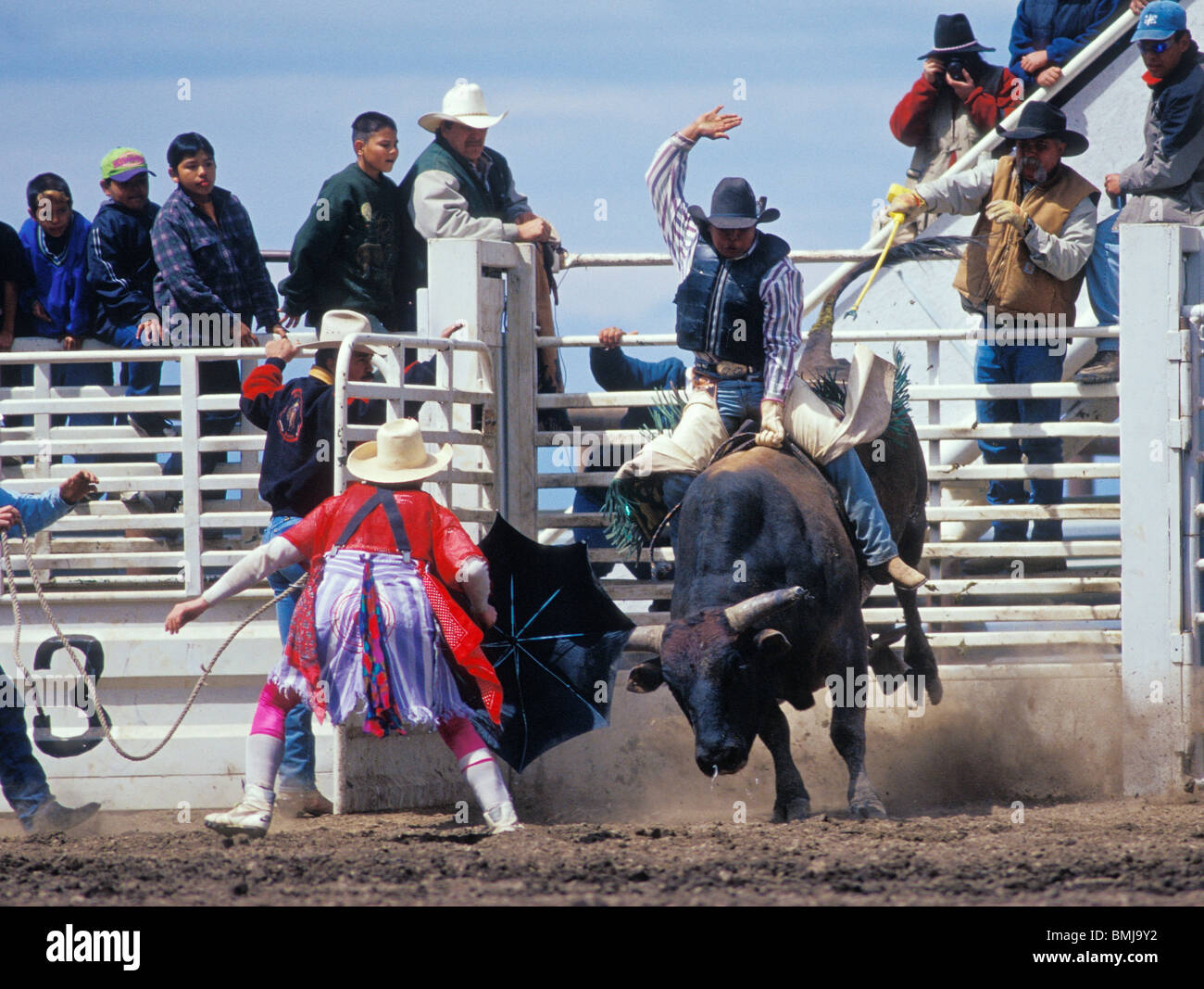 Cowboy Reiten bei Tygh Ridge All-indischen Rodeo Bull in; Wasco County, Zentral-Oregon. Stockfoto