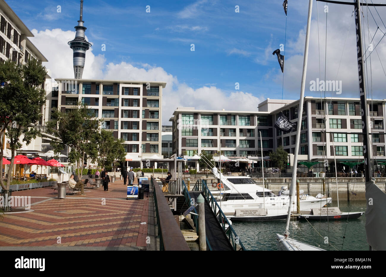 Segelboote in Westhaven Bay Auckland, Neuseeland Stockfoto