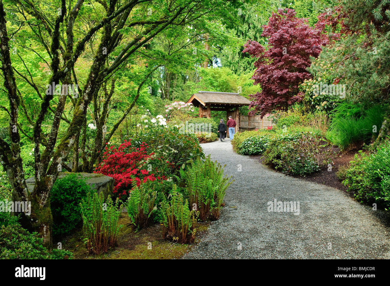 Paar auf Pfad bei Yao japanischer Garten am Bellevue Botanical Gardens; Bellevue, Washington. Stockfoto