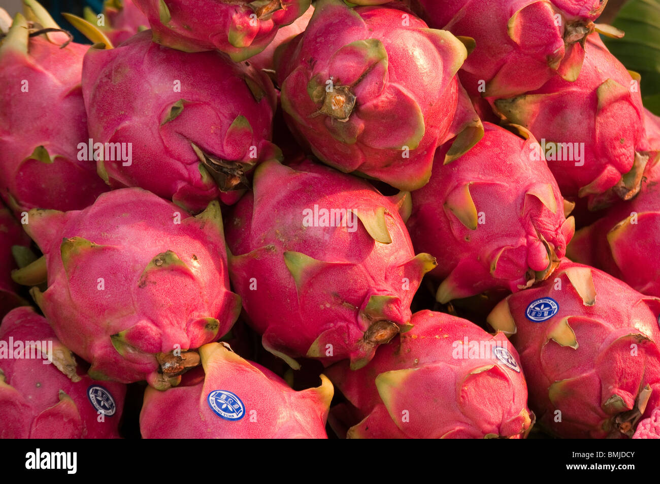 Drachenfrucht zum Verkauf an Pratu Chiang Mai Markt; Chiang Mai, Thailand. Stockfoto