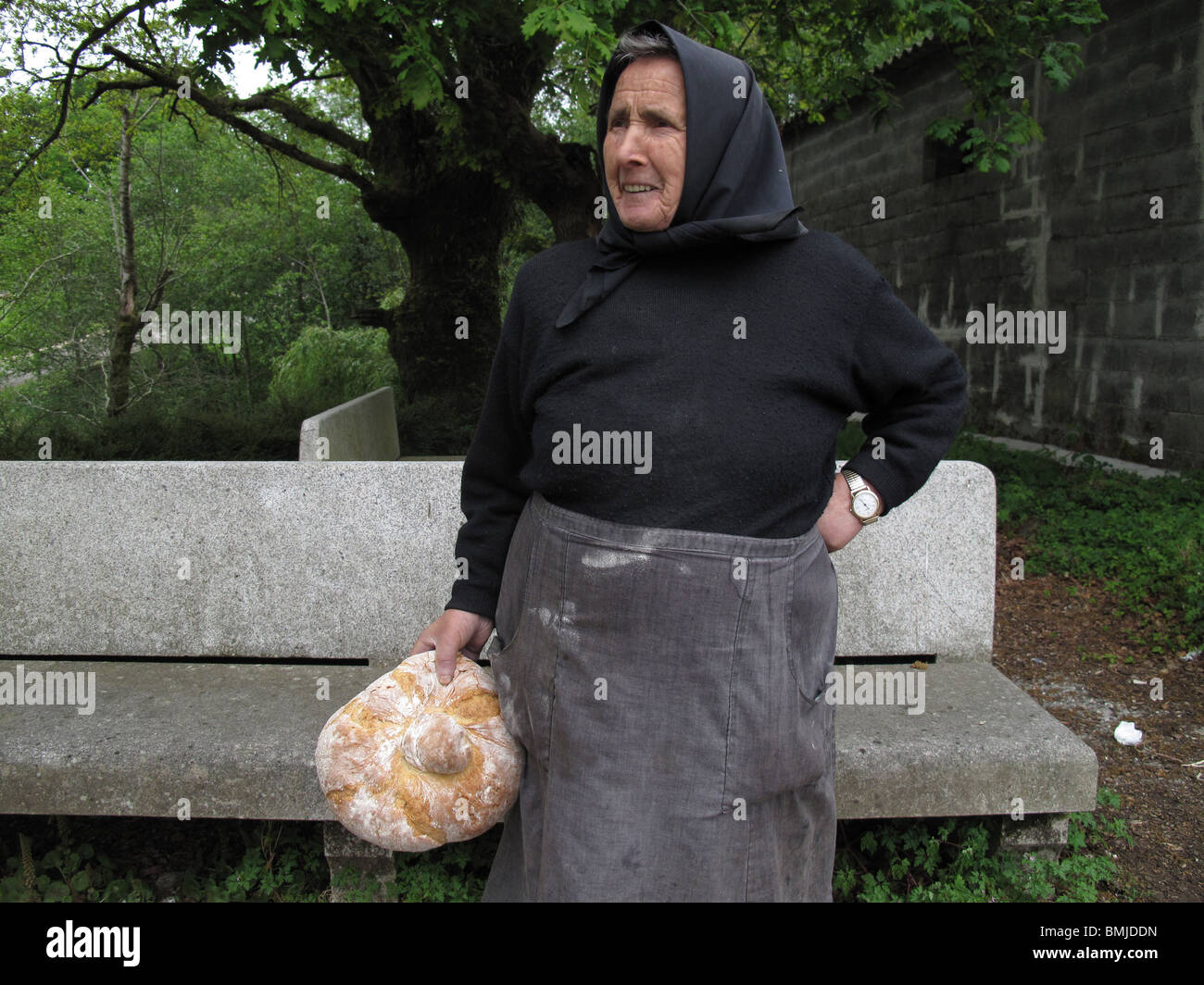 Galizien. España. CAMINO DE SANTIAGO. Galizien. Spanien. JAKOBSWEG. Stockfoto