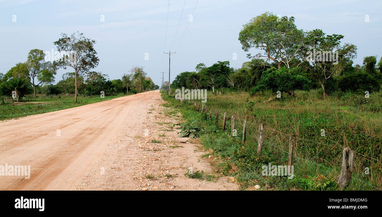 Transpantaneira, Pantanal, Brasilien Stockfoto