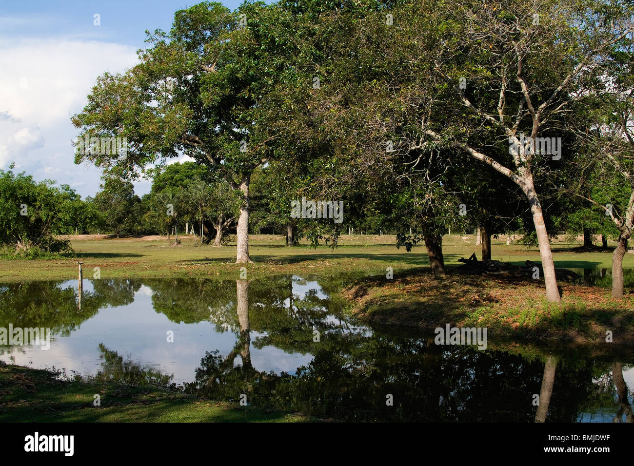 Pousada do Rio Mutum, Hotel, Landschaft, Pantanal, Brasilien Stockfoto