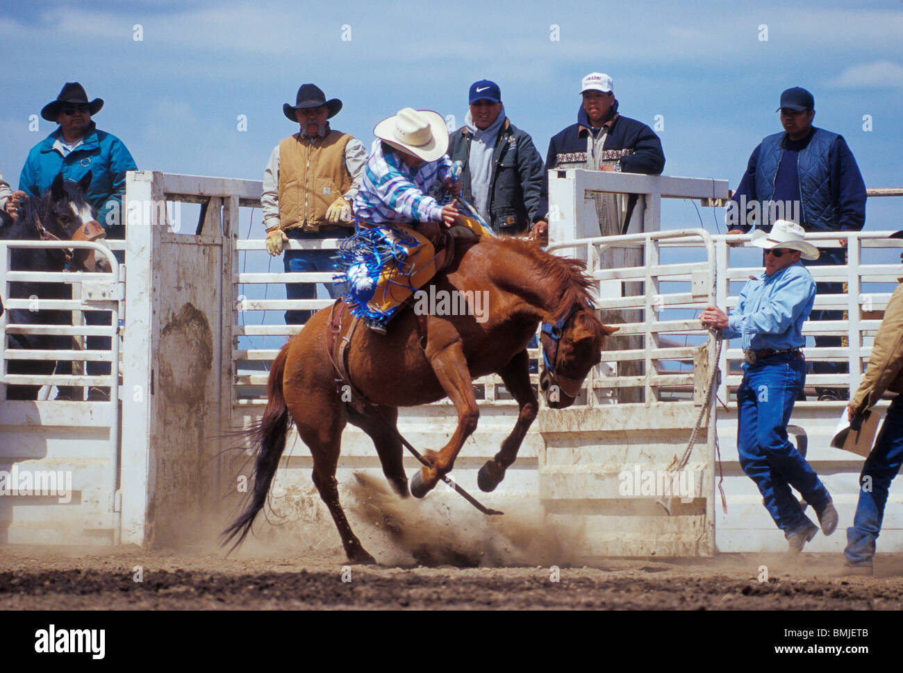 Cowboy auf Pferd im Bronc Reiten Ereignis am Tygh Ridge All-indischen Rodeo; Wasco County, Zentral-Oregon. Stockfoto