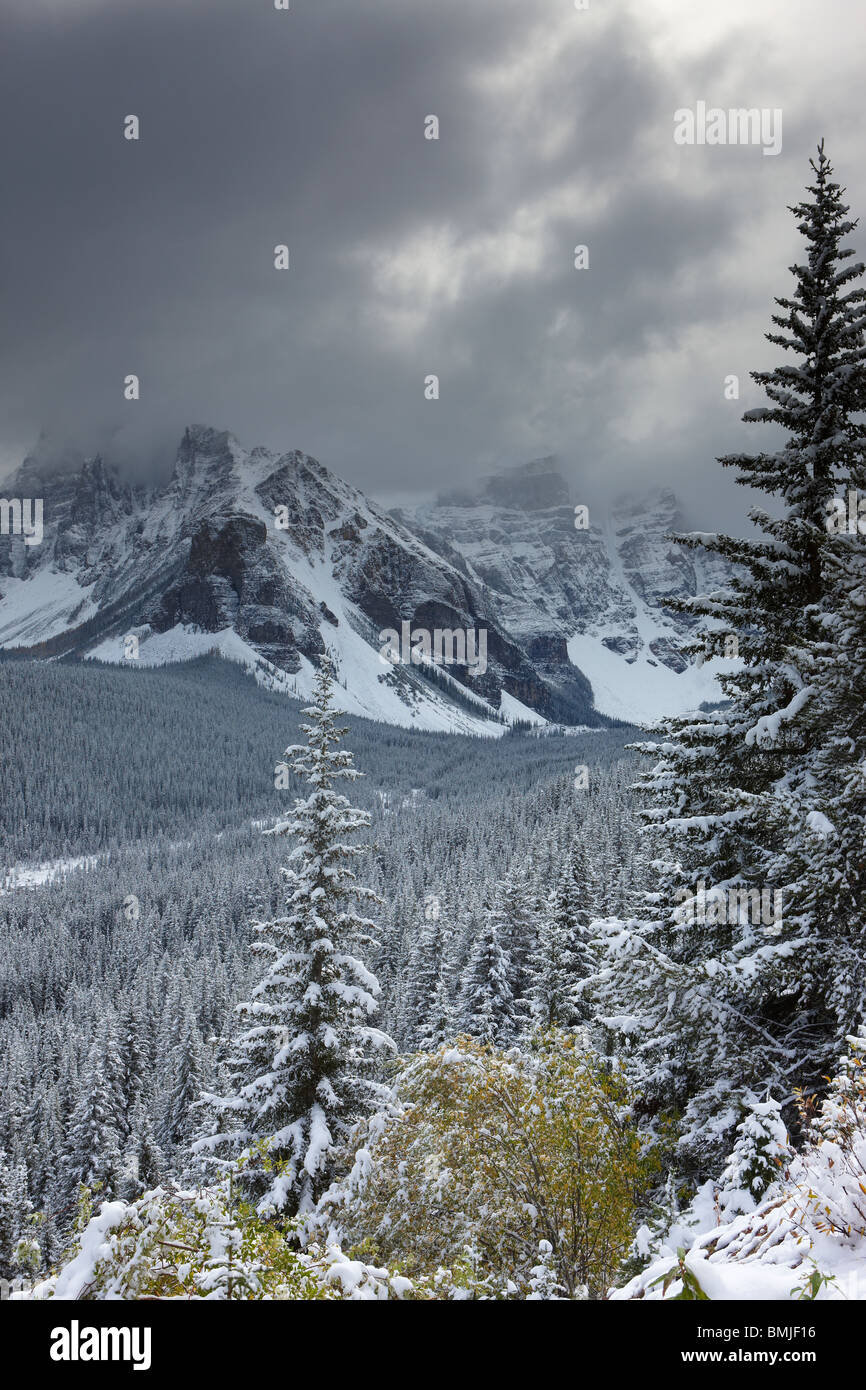 Freash Schneefall im Valley of the Ten Peaks, Banff Nationalpark, Alberta, Kanada Stockfoto