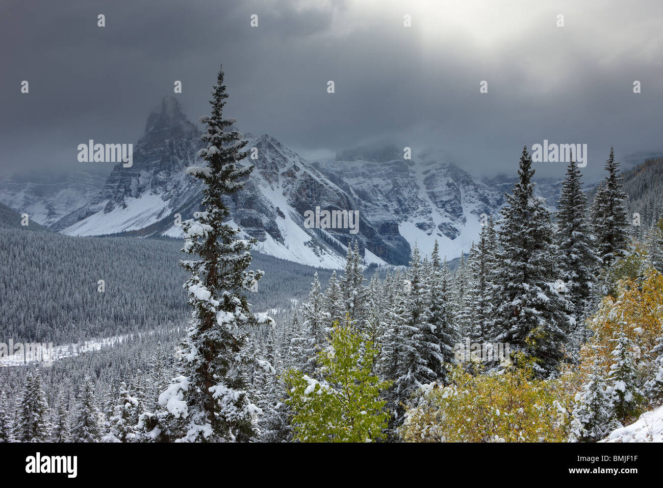 Neuschnee im Valley of the Ten Peaks, Banff Nationalpark, Alberta, Kanada Stockfoto