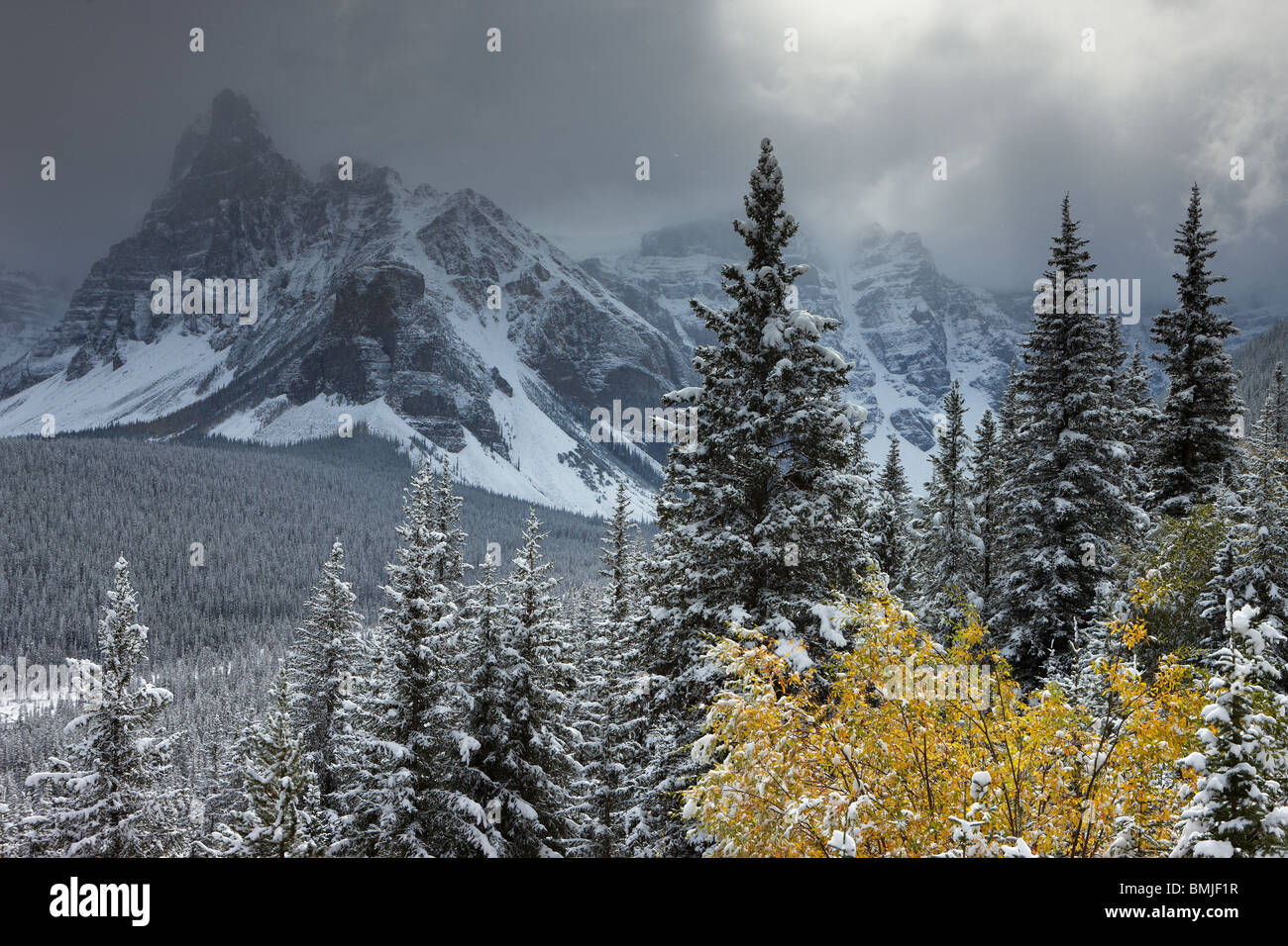 Neuschnee im Valley of the Ten Peaks, Banff Nationalpark, Alberta, Kanada Stockfoto