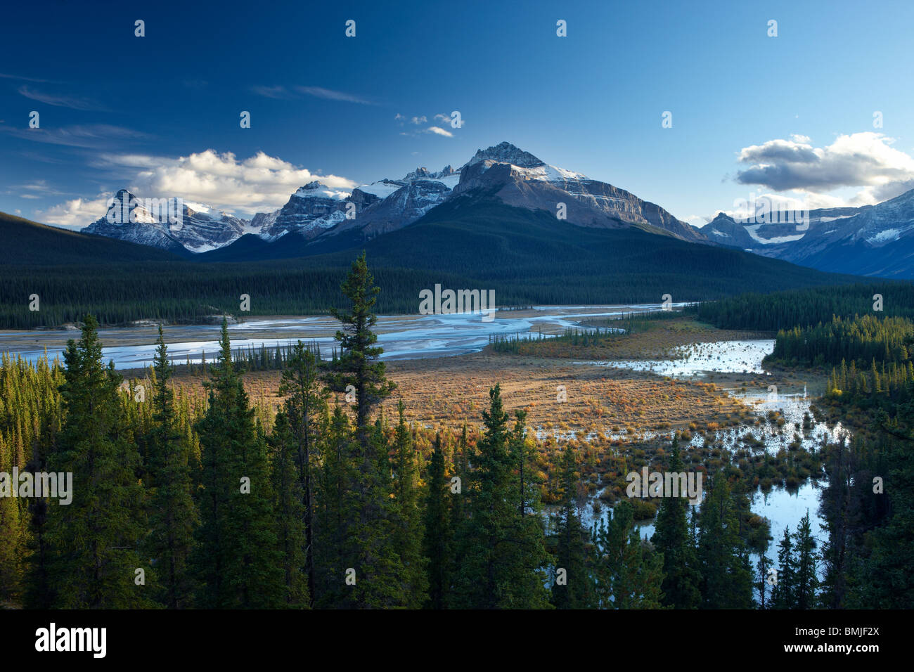 Howse Fluss und werden Berge, Saskatchewan Crossing, Banff Nationalpark, Alberta, Kanada Stockfoto