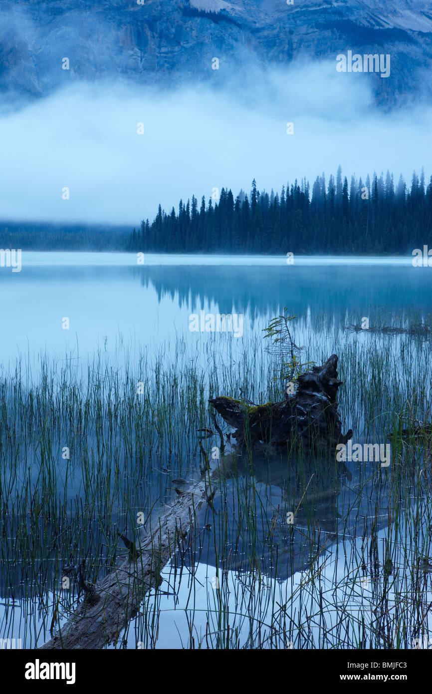 Emerald Lake im Morgengrauen, Yoho Nationalpark, Britisch-Kolumbien, Kanada Stockfoto