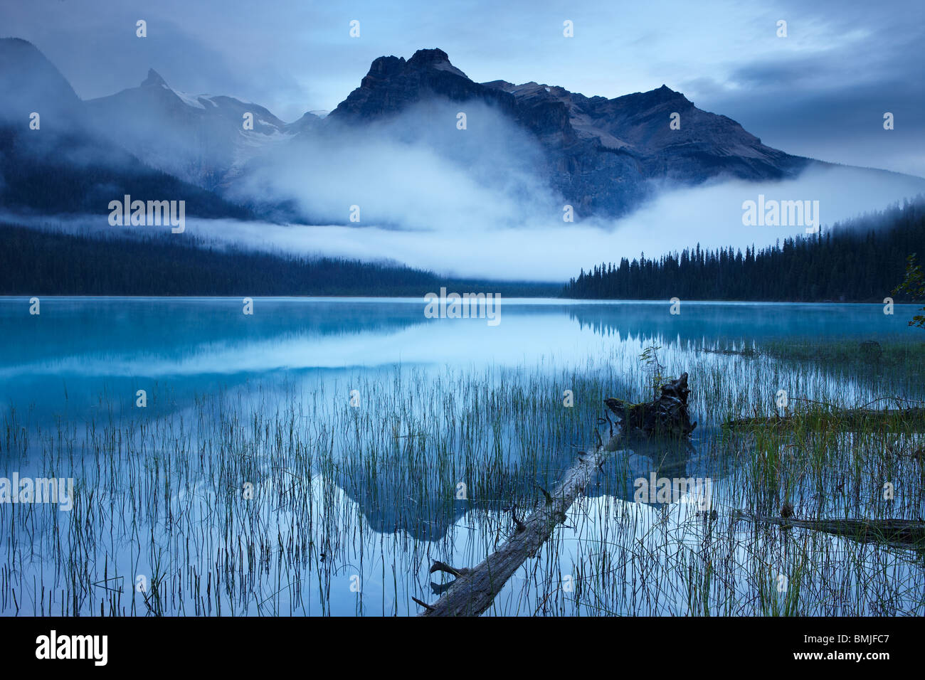 Emerald Lake im Morgengrauen mit den Gipfeln des Bereichs Präsident hinaus Yoho Nationalpark, Britisch-Kolumbien, Kanada Stockfoto