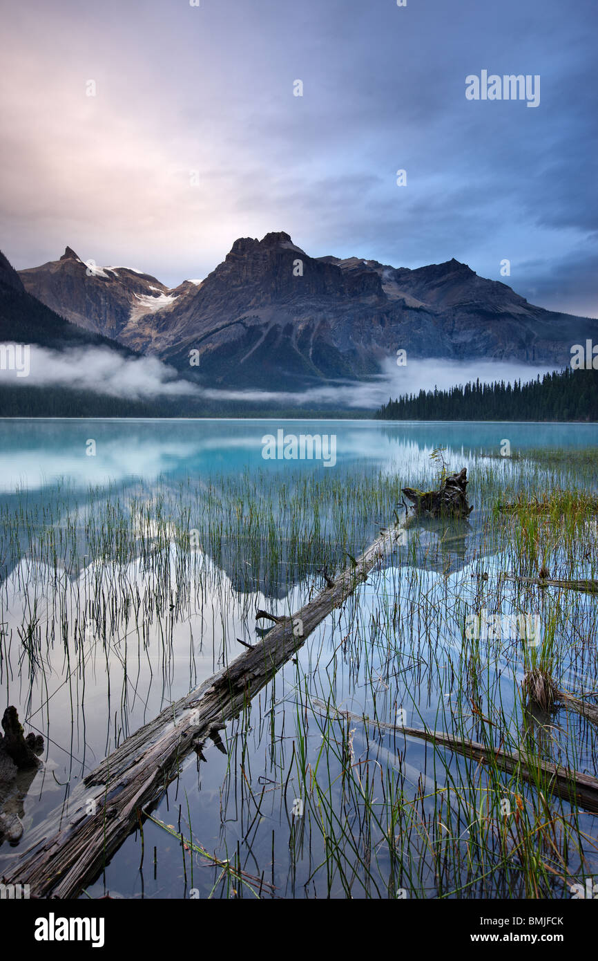 Emerald Lake im Morgengrauen mit den Gipfeln des Bereichs Präsident hinaus Yoho Nationalpark, Britisch-Kolumbien, Kanada Stockfoto