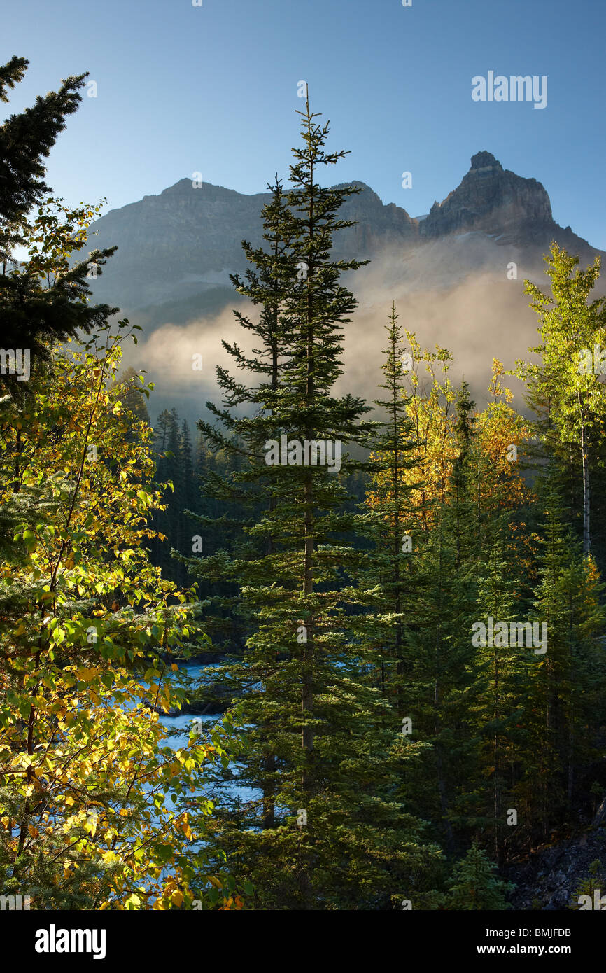 Meeting of the Waters; Yoho & ausschlagenden Pferd mit Kathedrale Klippen über Yoho Nationalpark, Britisch-Kolumbien, Kanada Stockfoto