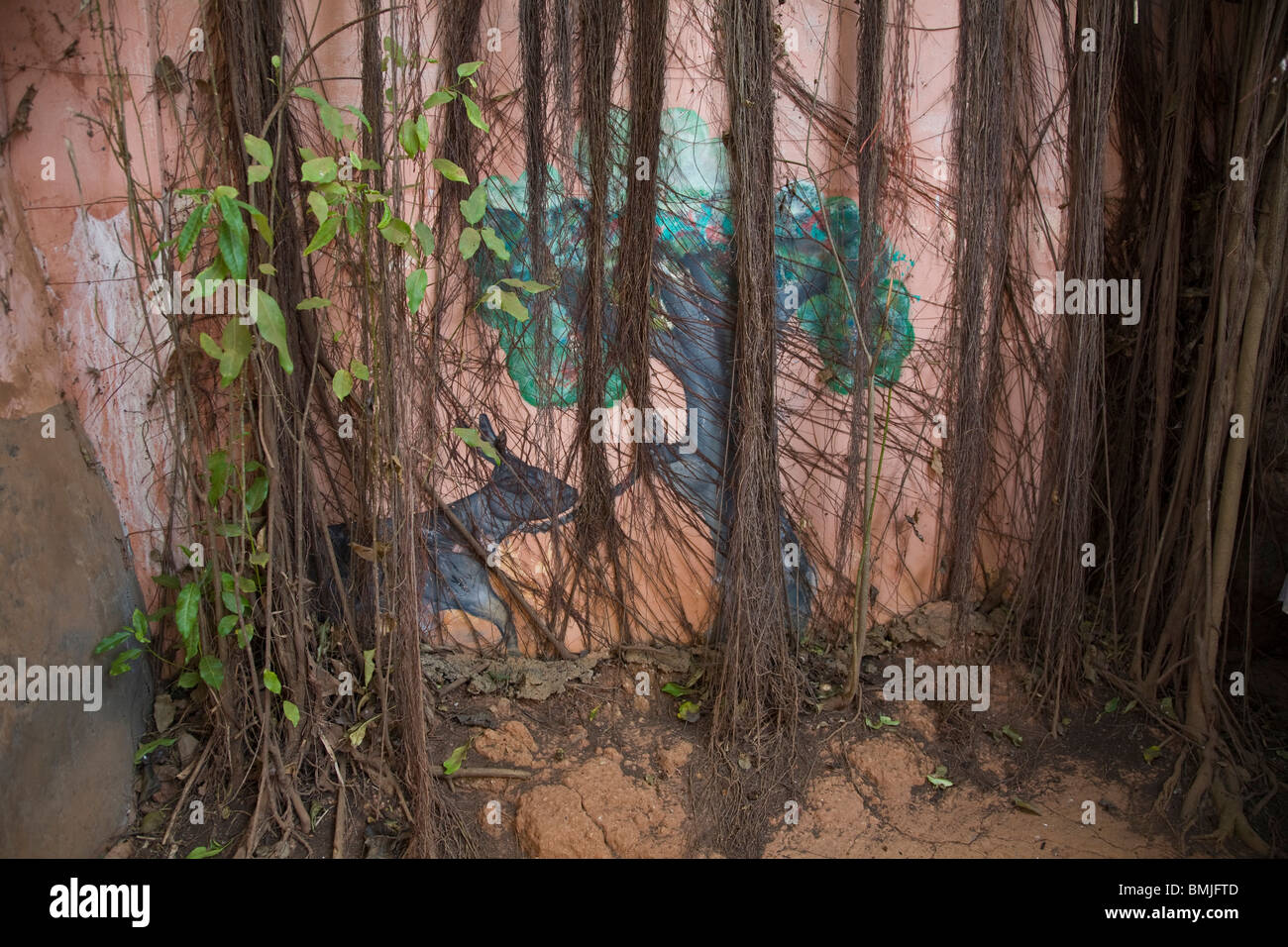 Afrika, Westafrika, Benin, Ouidah, Tempel der Pythons Stockfoto