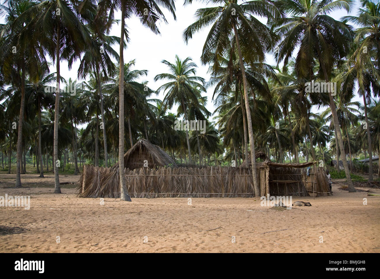 Afrika, Westafrika, Benin, Ouidah, Bucht von Benin Stockfoto