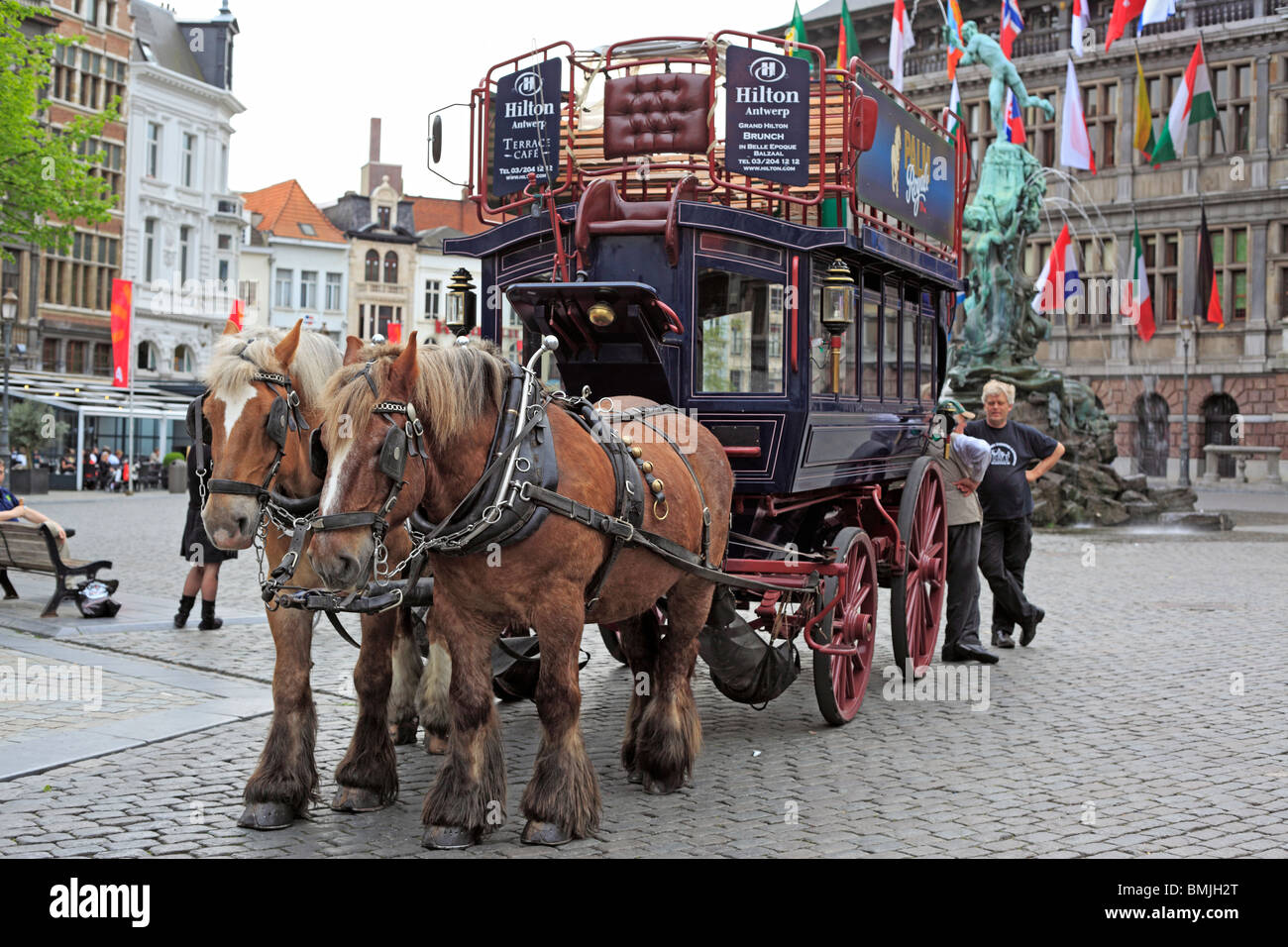 Pferd-Team, Antwerpen, Belgien Stockfoto