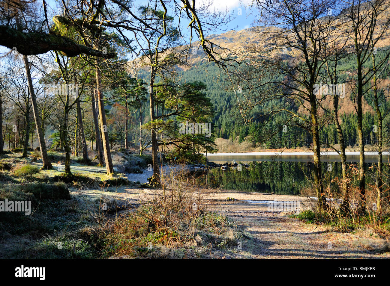 Winter-Reflexionen, Loch Eck, Argyle und Bute, Scotland Stockfoto