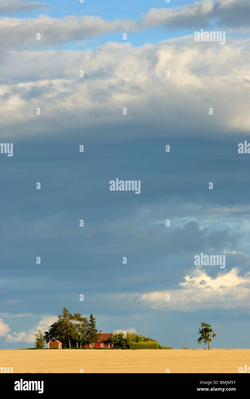 Skandinavien, Schweden, Ostergotland, Blick auf Felder mit Haus im Hintergrund Stockfoto