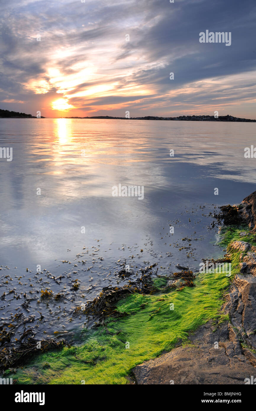 Algen an der Wasserlinie Stockfoto