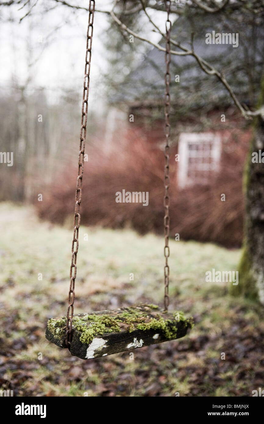 Skandinavien, Schweden, Skane, Blick auf leere Schaukel im Garten Stockfoto