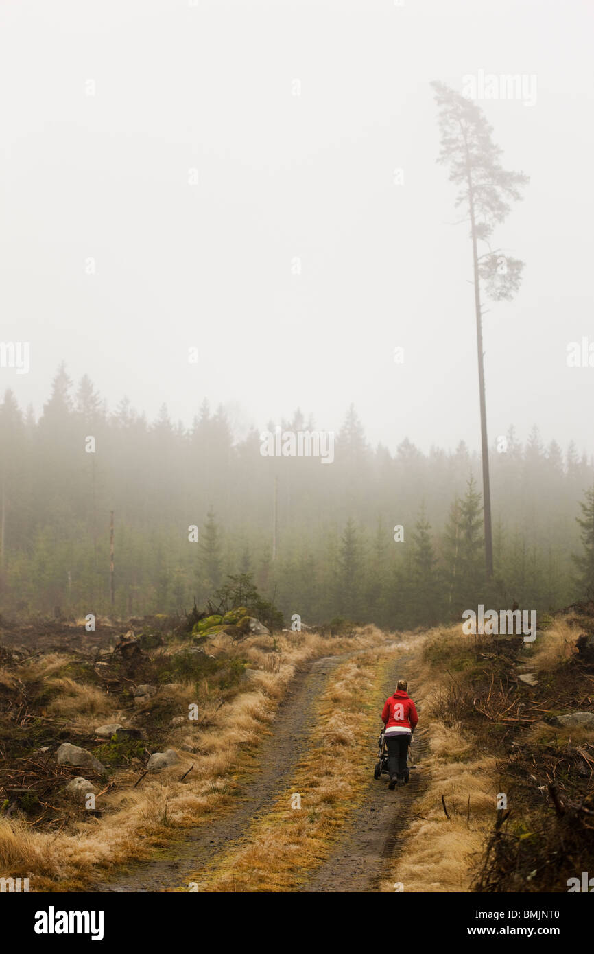 Skandinavien, Schweden, Skane, Sodermanland, Frau zu Fuß auf Feldweg Stockfoto